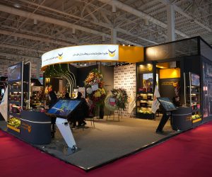 نیرو گستران (1)